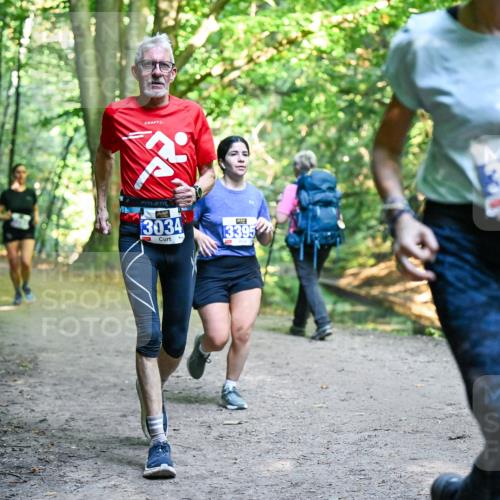 28.09.2025 - 33. Volkslauf durch das schöne Alstertal Dr. Thomas Lammeyer http://msf.ph/oto/8958640 28.09.2025 10:52:13 Laufen 3034, 13395, 3101 meine-sportfotos.de