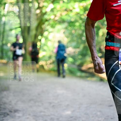 28.09.2025 - 33. Volkslauf durch das schöne Alstertal Dr. Thomas Lammeyer http://msf.ph/oto/8958653 28.09.2025 10:52:14 Laufen 3034, 11 meine-sportfotos.de