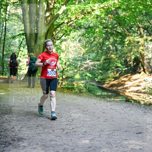 28.09.2025 - 33. Volkslauf durch das schöne Alstertal Dr. Thomas Lammeyer http://msf.ph/oto/8958670 28.09.2025 10:52:19 Laufen 3004 meine-sportfotos.de
