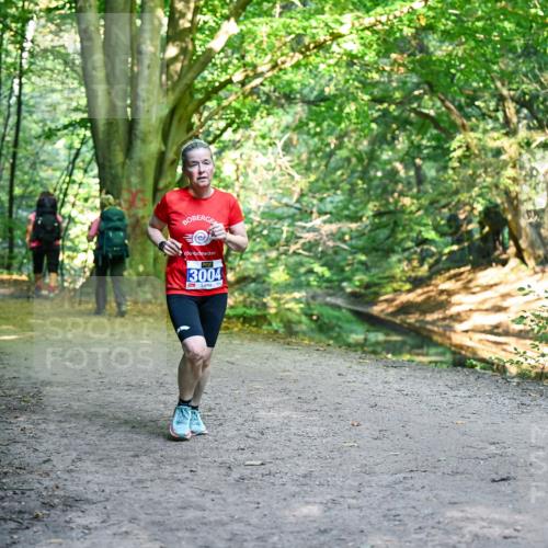 28.09.2025 - 33. Volkslauf durch das schöne Alstertal Dr. Thomas Lammeyer http://msf.ph/oto/8958671 28.09.2025 10:52:19 Laufen 13004 meine-sportfotos.de