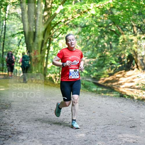 28.09.2025 - 33. Volkslauf durch das schöne Alstertal Dr. Thomas Lammeyer http://msf.ph/oto/8958675 28.09.2025 10:52:20 Laufen 240, 3004 meine-sportfotos.de