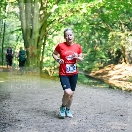 28.09.2025 - 33. Volkslauf durch das schöne Alstertal Dr. Thomas Lammeyer http://msf.ph/oto/8958676 28.09.2025 10:52:20 Laufen 3004 meine-sportfotos.de