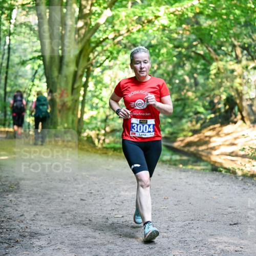 28.09.2025 - 33. Volkslauf durch das schöne Alstertal Dr. Thomas Lammeyer http://msf.ph/oto/8958678 28.09.2025 10:52:20 Laufen 3004 meine-sportfotos.de