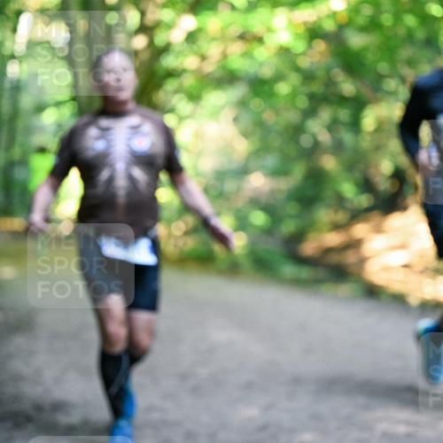 28.09.2025 - 33. Volkslauf durch das schöne Alstertal Dr. Thomas Lammeyer http://msf.ph/oto/8958700 28.09.2025 10:52:30 Laufen  meine-sportfotos.de