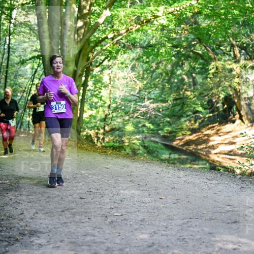 28.09.2025 - 33. Volkslauf durch das schöne Alstertal Dr. Thomas Lammeyer http://msf.ph/oto/8958705 28.09.2025 10:52:38 Laufen 3183, 3150 meine-sportfotos.de