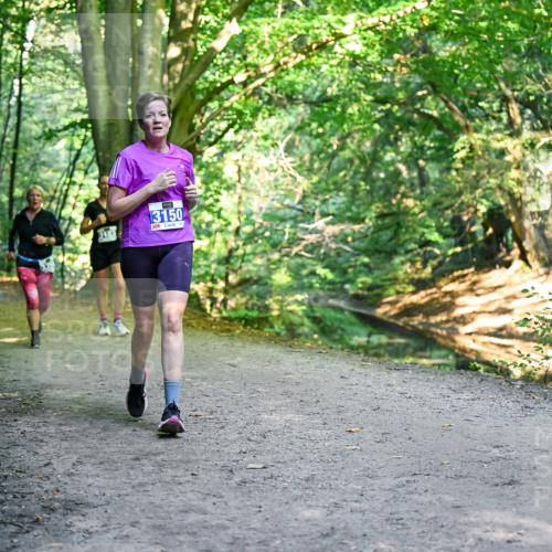 28.09.2025 - 33. Volkslauf durch das schöne Alstertal Dr. Thomas Lammeyer http://msf.ph/oto/8958710 28.09.2025 10:52:38 Laufen 3183, 3150 meine-sportfotos.de