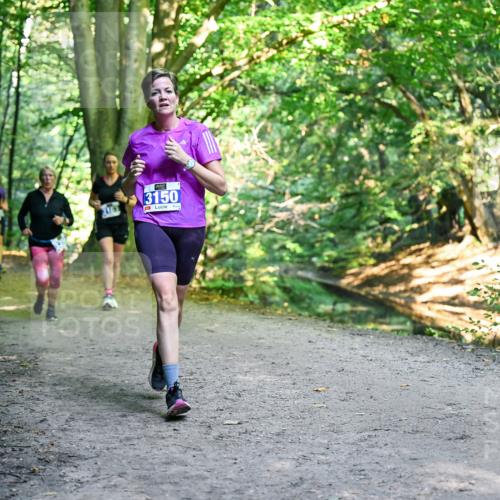 28.09.2025 - 33. Volkslauf durch das schöne Alstertal Dr. Thomas Lammeyer http://msf.ph/oto/8958713 28.09.2025 10:52:39 Laufen 1163, 3150 meine-sportfotos.de