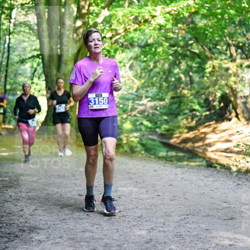 28.09.2025 - 33. Volkslauf durch das schöne Alstertal Dr. Thomas Lammeyer http://msf.ph/oto/8958716 28.09.2025 10:52:39 Laufen 3150 meine-sportfotos.de