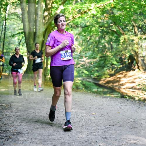 28.09.2025 - 33. Volkslauf durch das schöne Alstertal Dr. Thomas Lammeyer http://msf.ph/oto/8958717 28.09.2025 10:52:39 Laufen 3150 meine-sportfotos.de