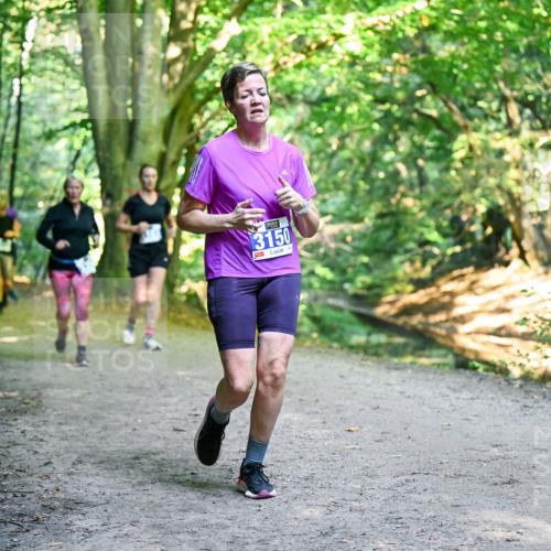 28.09.2025 - 33. Volkslauf durch das schöne Alstertal Dr. Thomas Lammeyer http://msf.ph/oto/8958718 28.09.2025 10:52:39 Laufen 3150 meine-sportfotos.de