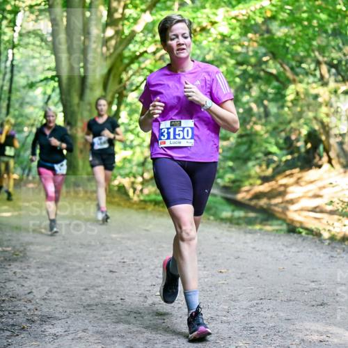 28.09.2025 - 33. Volkslauf durch das schöne Alstertal Dr. Thomas Lammeyer http://msf.ph/oto/8958720 28.09.2025 10:52:40 Laufen 3150 meine-sportfotos.de