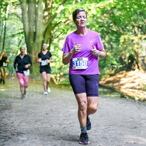28.09.2025 - 33. Volkslauf durch das schöne Alstertal Dr. Thomas Lammeyer http://msf.ph/oto/8958721 28.09.2025 10:52:40 Laufen 3150 meine-sportfotos.de