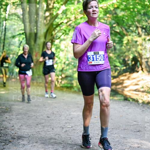 28.09.2025 - 33. Volkslauf durch das schöne Alstertal Dr. Thomas Lammeyer http://msf.ph/oto/8958723 28.09.2025 10:52:40 Laufen 3150, 1 meine-sportfotos.de
