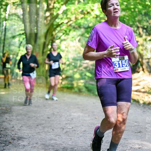 28.09.2025 - 33. Volkslauf durch das schöne Alstertal Dr. Thomas Lammeyer http://msf.ph/oto/8958725 28.09.2025 10:52:40 Laufen 3150 meine-sportfotos.de