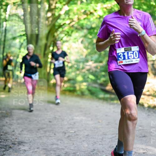 28.09.2025 - 33. Volkslauf durch das schöne Alstertal Dr. Thomas Lammeyer http://msf.ph/oto/8958726 28.09.2025 10:52:40 Laufen 3150 meine-sportfotos.de