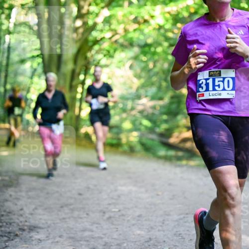 28.09.2025 - 33. Volkslauf durch das schöne Alstertal Dr. Thomas Lammeyer http://msf.ph/oto/8958727 28.09.2025 10:52:40 Laufen 3150 meine-sportfotos.de