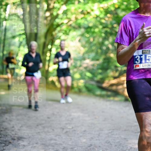 28.09.2025 - 33. Volkslauf durch das schöne Alstertal Dr. Thomas Lammeyer http://msf.ph/oto/8958728 28.09.2025 10:52:41 Laufen 3150 meine-sportfotos.de