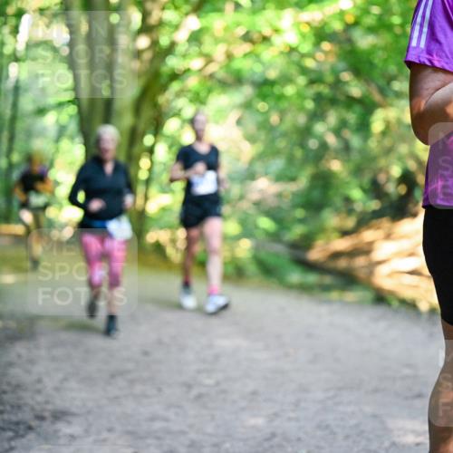 28.09.2025 - 33. Volkslauf durch das schöne Alstertal Dr. Thomas Lammeyer http://msf.ph/oto/8958729 28.09.2025 10:52:41 Laufen 3150 meine-sportfotos.de