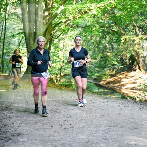 28.09.2025 - 33. Volkslauf durch das schöne Alstertal Dr. Thomas Lammeyer http://msf.ph/oto/8958731 28.09.2025 10:52:41 Laufen 3120, 3119, 318 meine-sportfotos.de