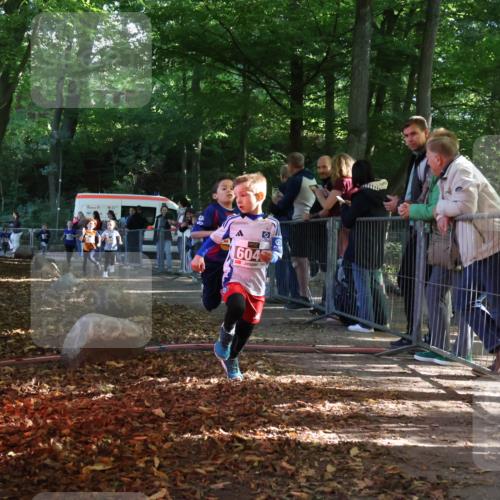 28.09.2025 - 33. Volkslauf durch das schöne Alstertal Strokosch-Dieckow http://msf.ph/oto/8958732 28.09.2025 10:41:58 Ziel  meine-sportfotos.de