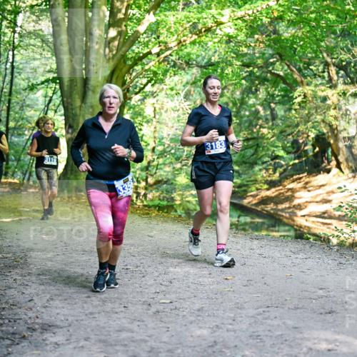 28.09.2025 - 33. Volkslauf durch das schöne Alstertal Dr. Thomas Lammeyer http://msf.ph/oto/8958734 28.09.2025 10:52:41 Laufen 3119, 335, 3183 meine-sportfotos.de