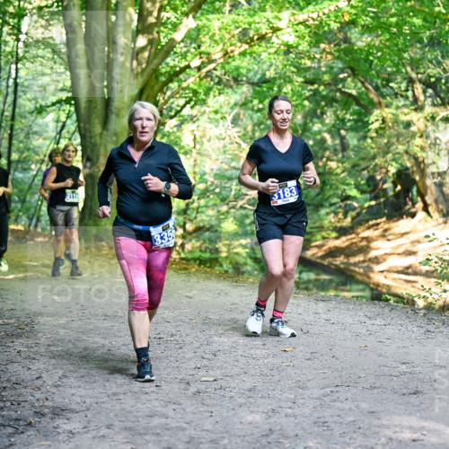 28.09.2025 - 33. Volkslauf durch das schöne Alstertal Dr. Thomas Lammeyer http://msf.ph/oto/8958735 28.09.2025 10:52:42 Laufen 3120, 311, 3183, 335 meine-sportfotos.de