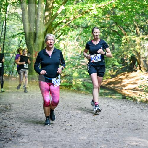 28.09.2025 - 33. Volkslauf durch das schöne Alstertal Dr. Thomas Lammeyer http://msf.ph/oto/8958736 28.09.2025 10:52:42 Laufen 3120, 3119, 3183 meine-sportfotos.de