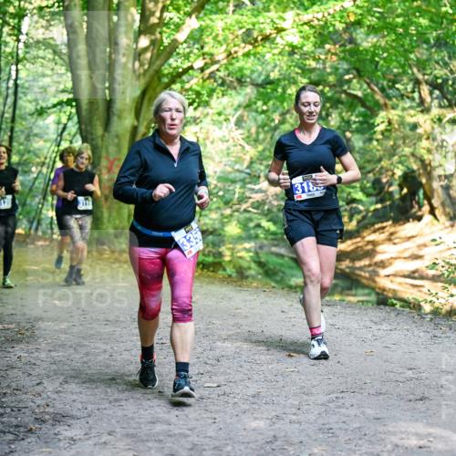 28.09.2025 - 33. Volkslauf durch das schöne Alstertal Dr. Thomas Lammeyer http://msf.ph/oto/8958738 28.09.2025 10:52:42 Laufen 311, 318 meine-sportfotos.de
