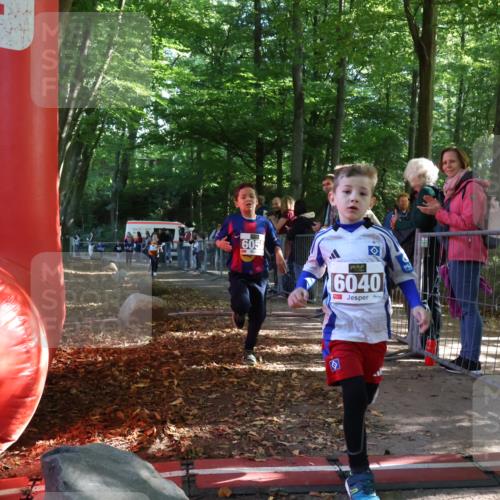 28.09.2025 - 33. Volkslauf durch das schöne Alstertal Strokosch-Dieckow http://msf.ph/oto/8958740 28.09.2025 10:41:59 Ziel  meine-sportfotos.de