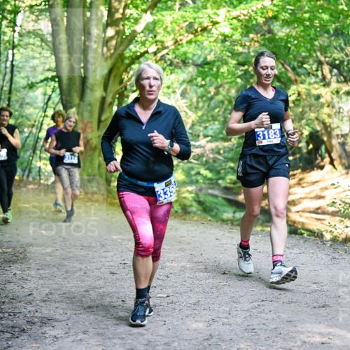 28.09.2025 - 33. Volkslauf durch das schöne Alstertal Dr. Thomas Lammeyer http://msf.ph/oto/8958741 28.09.2025 10:52:42 Laufen 335, 3183 meine-sportfotos.de