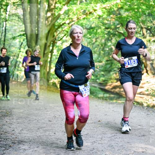 28.09.2025 - 33. Volkslauf durch das schöne Alstertal Dr. Thomas Lammeyer http://msf.ph/oto/8958744 28.09.2025 10:52:42 Laufen 1129, 133, 3183 meine-sportfotos.de