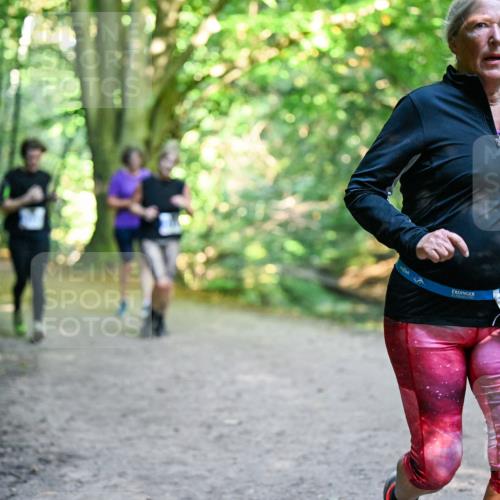 28.09.2025 - 33. Volkslauf durch das schöne Alstertal Dr. Thomas Lammeyer http://msf.ph/oto/8958753 28.09.2025 10:52:43 Laufen 335 meine-sportfotos.de