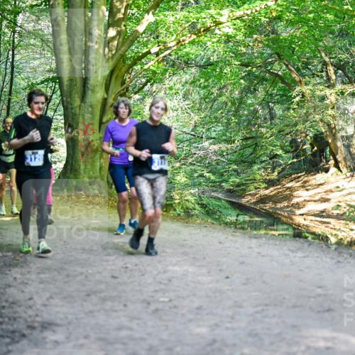 28.09.2025 - 33. Volkslauf durch das schöne Alstertal Dr. Thomas Lammeyer http://msf.ph/oto/8958755 28.09.2025 10:52:44 Laufen  meine-sportfotos.de