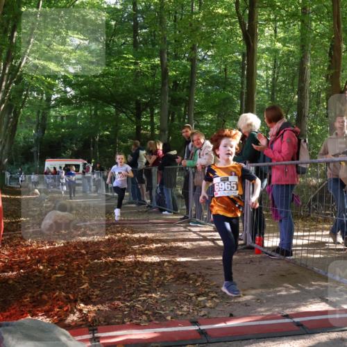 28.09.2025 - 33. Volkslauf durch das schöne Alstertal Strokosch-Dieckow http://msf.ph/oto/8958756 28.09.2025 10:42:02 Ziel  meine-sportfotos.de