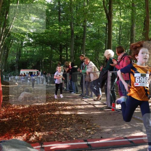 28.09.2025 - 33. Volkslauf durch das schöne Alstertal Strokosch-Dieckow http://msf.ph/oto/8958758 28.09.2025 10:42:02 Ziel  meine-sportfotos.de