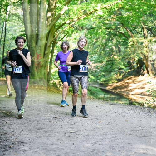 28.09.2025 - 33. Volkslauf durch das schöne Alstertal Dr. Thomas Lammeyer http://msf.ph/oto/8958760 28.09.2025 10:52:44 Laufen 3120, 30, 3119 meine-sportfotos.de