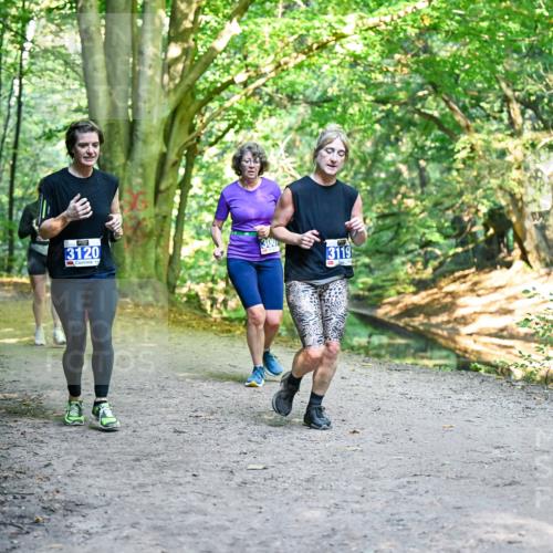 28.09.2025 - 33. Volkslauf durch das schöne Alstertal Dr. Thomas Lammeyer http://msf.ph/oto/8958763 28.09.2025 10:52:45 Laufen 3120, 300, 3119 meine-sportfotos.de