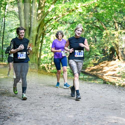 28.09.2025 - 33. Volkslauf durch das schöne Alstertal Dr. Thomas Lammeyer http://msf.ph/oto/8958765 28.09.2025 10:52:45 Laufen 3120, 3119 meine-sportfotos.de