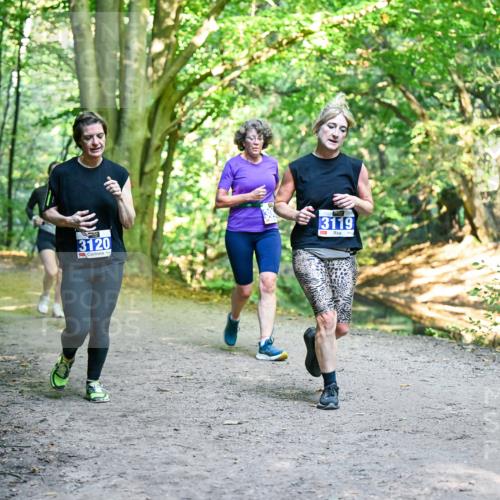 28.09.2025 - 33. Volkslauf durch das schöne Alstertal Dr. Thomas Lammeyer http://msf.ph/oto/8958767 28.09.2025 10:52:45 Laufen 3120, 3119 meine-sportfotos.de