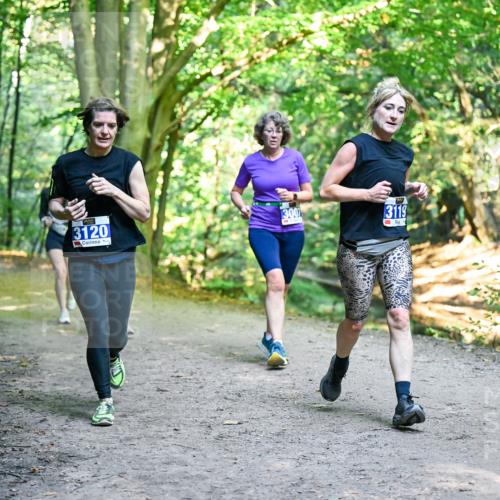 28.09.2025 - 33. Volkslauf durch das schöne Alstertal Dr. Thomas Lammeyer http://msf.ph/oto/8958770 28.09.2025 10:52:45 Laufen 3120, 3007, 3119 meine-sportfotos.de