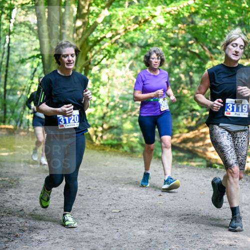 28.09.2025 - 33. Volkslauf durch das schöne Alstertal Dr. Thomas Lammeyer http://msf.ph/oto/8958775 28.09.2025 10:52:45 Laufen 3120, 3119, 1 meine-sportfotos.de
