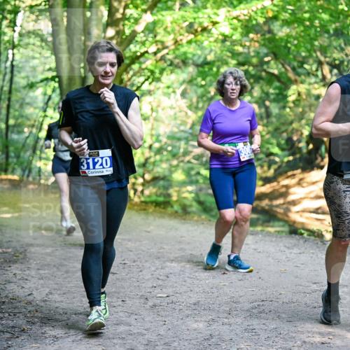 28.09.2025 - 33. Volkslauf durch das schöne Alstertal Dr. Thomas Lammeyer http://msf.ph/oto/8958777 28.09.2025 10:52:46 Laufen 3120, 300, 3119 meine-sportfotos.de