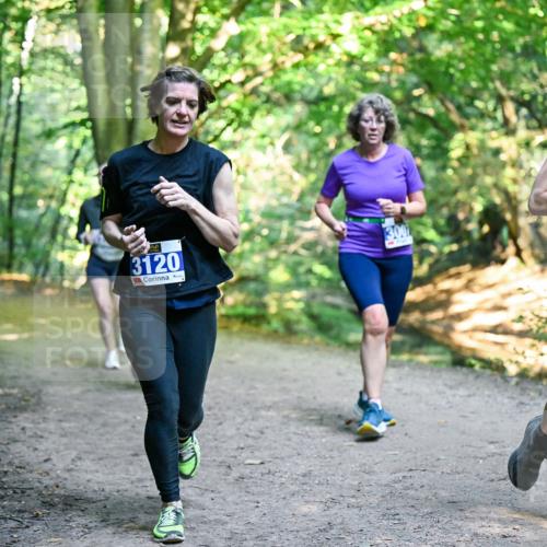 28.09.2025 - 33. Volkslauf durch das schöne Alstertal Dr. Thomas Lammeyer http://msf.ph/oto/8958778 28.09.2025 10:52:46 Laufen 3120, 3001, 3119 meine-sportfotos.de