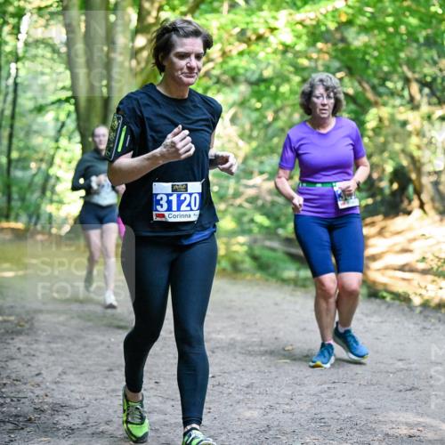 28.09.2025 - 33. Volkslauf durch das schöne Alstertal Dr. Thomas Lammeyer http://msf.ph/oto/8958782 28.09.2025 10:52:46 Laufen 3120 meine-sportfotos.de