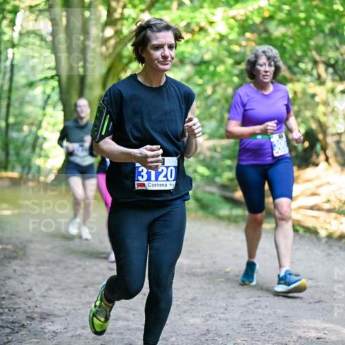 28.09.2025 - 33. Volkslauf durch das schöne Alstertal Dr. Thomas Lammeyer http://msf.ph/oto/8958783 28.09.2025 10:52:46 Laufen 3120 meine-sportfotos.de