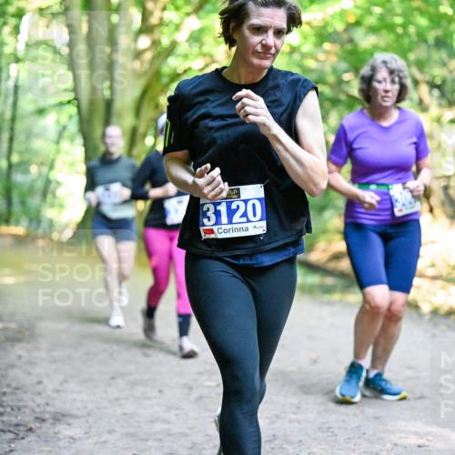 28.09.2025 - 33. Volkslauf durch das schöne Alstertal Dr. Thomas Lammeyer http://msf.ph/oto/8958787 28.09.2025 10:52:46 Laufen 3120 meine-sportfotos.de