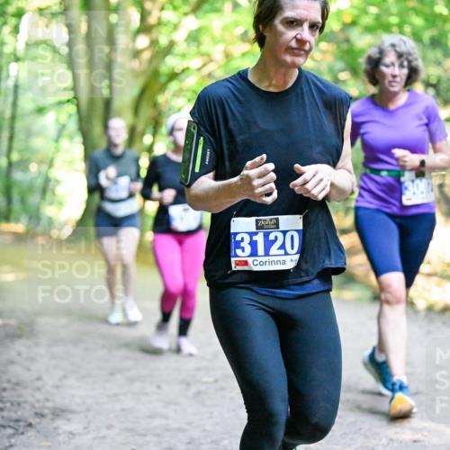 28.09.2025 - 33. Volkslauf durch das schöne Alstertal Dr. Thomas Lammeyer http://msf.ph/oto/8958788 28.09.2025 10:52:47 Laufen 3120, 3, 00 meine-sportfotos.de