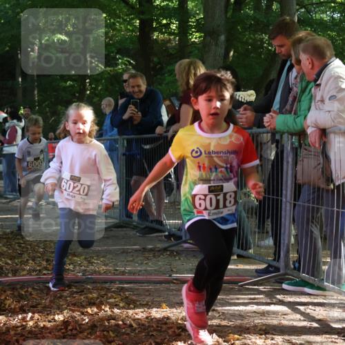 28.09.2025 - 33. Volkslauf durch das schöne Alstertal Strokosch-Dieckow http://msf.ph/oto/8958798 28.09.2025 10:42:09 Ziel  meine-sportfotos.de