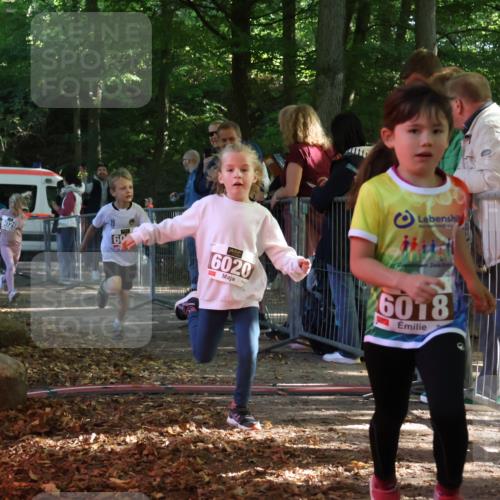 28.09.2025 - 33. Volkslauf durch das schöne Alstertal Strokosch-Dieckow http://msf.ph/oto/8958801 28.09.2025 10:42:10 Ziel  meine-sportfotos.de