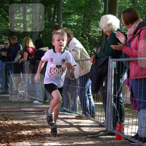28.09.2025 - 33. Volkslauf durch das schöne Alstertal Strokosch-Dieckow http://msf.ph/oto/8958811 28.09.2025 10:42:12 Ziel  meine-sportfotos.de